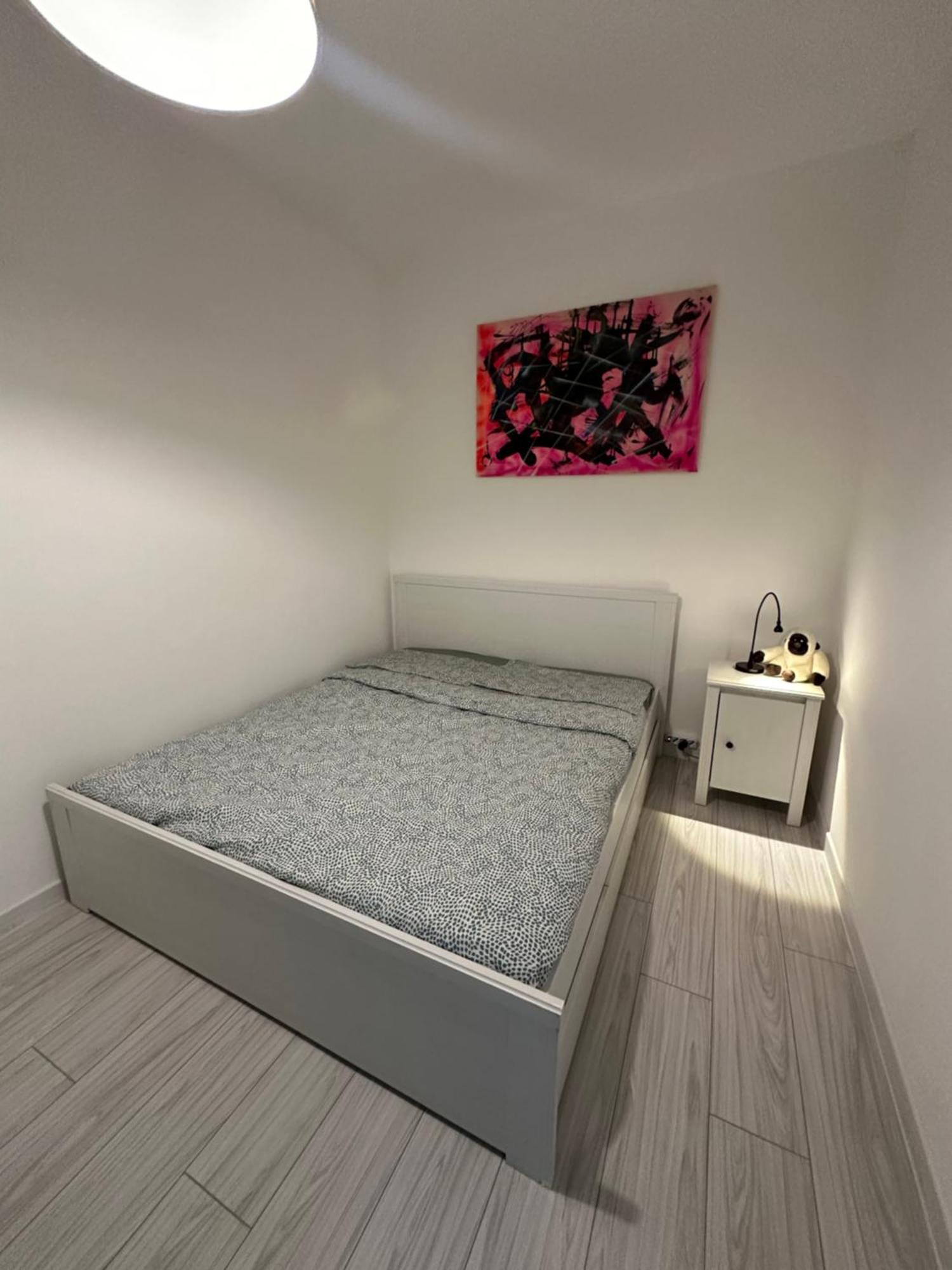 Apartment Luna Rosa Pisa